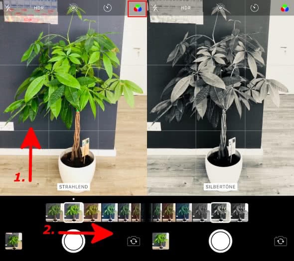 Live-Filter in der Kamera-App am iPhone nutzen