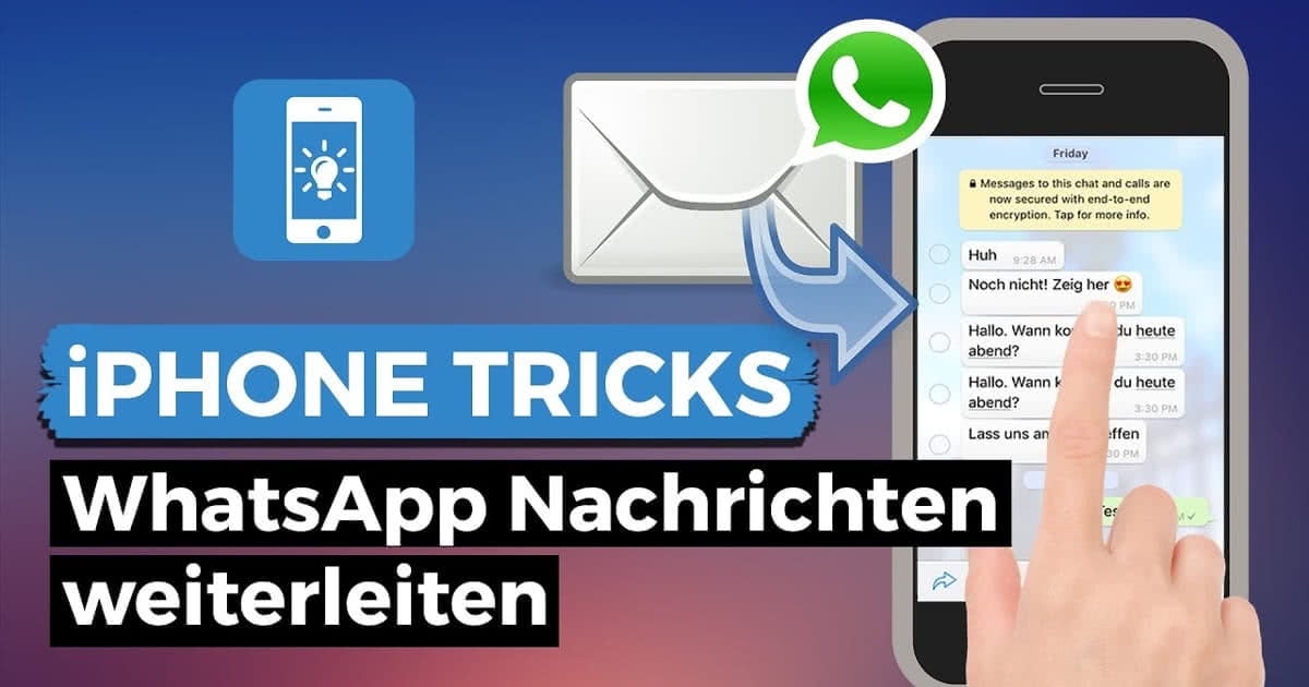 31+ Whatsapp bild mit text weiterleiten , WhatsApp weiterleiten Ganz leicht Nachrichten weiterschicken