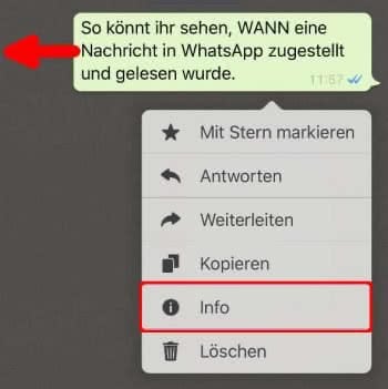 WhatsApp-Nachricht gedrückt halten und "Info" tippen oder nach links wischen, um "Gelesen"- und "Zugestellt"-Zeiten anzuzeigen