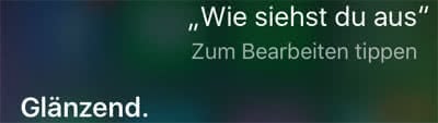 Die 21 lustigsten Siri Fragen & witzigsten Siri Sprüche!