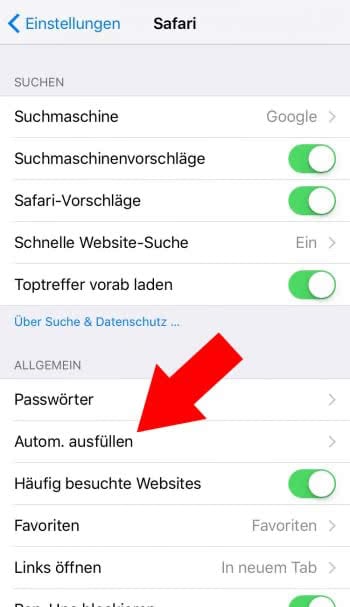 Kreditkarten Infos Automatisch Einfugen In Safari