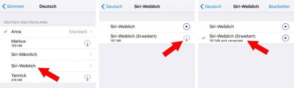 Erweitertes Sprachpaket für Siri aktivieren