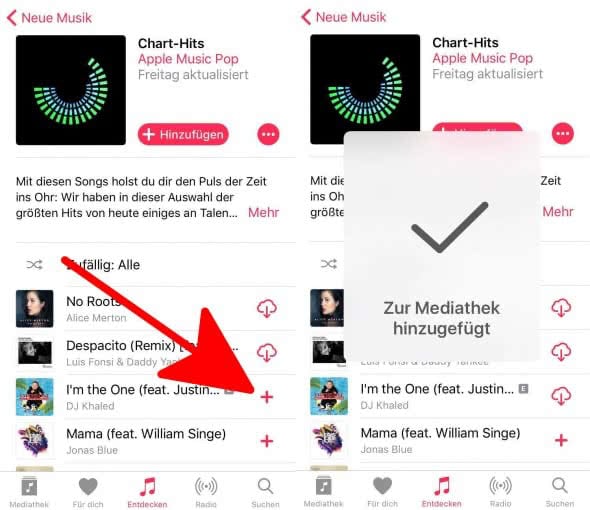 Apple Music Lieder herunterladen