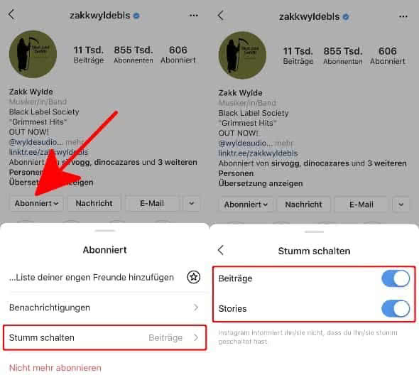 In Instagram-Profil auf "Abonniert" tippen, "Stumm schalten" wählen und auf den Schalter rechts neben "Beiträge" bzw. "Stories" tippen