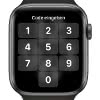 Apple Watch Code Abfrage Logo