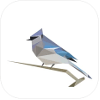 BirdNET-App Logo