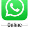 WhatsApp Online Logo