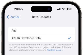 Beta-Programm Teilnahme in iOS 16.4
